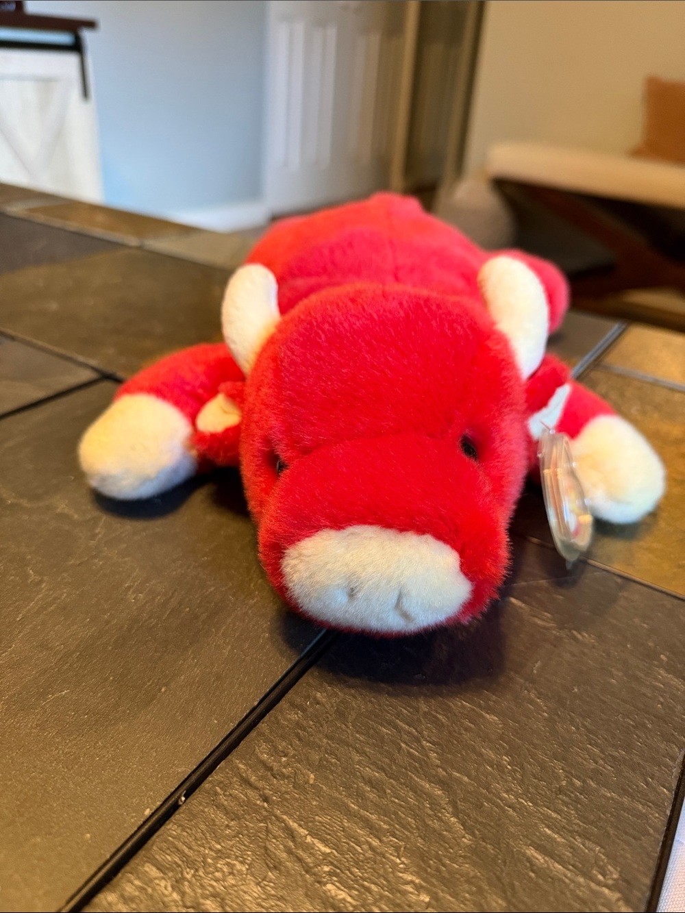 Beanie Buddy Snort